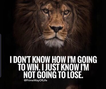 THE LION MINDSET