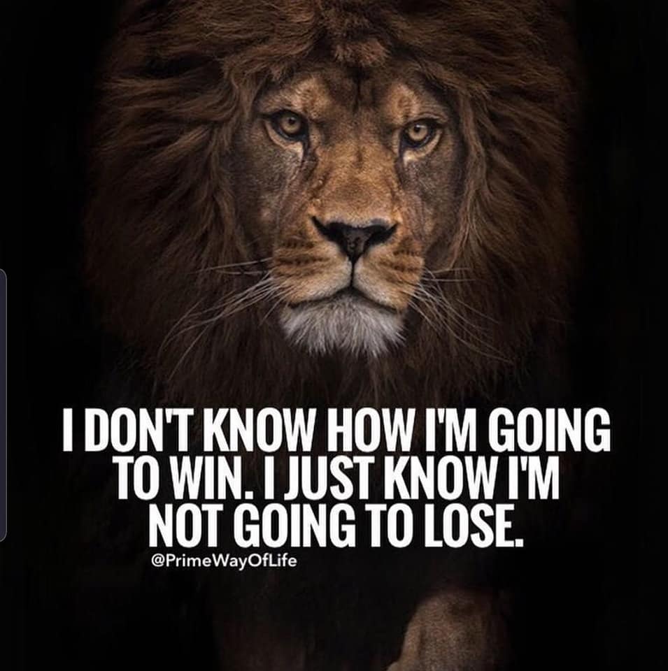 THE LION MINDSET