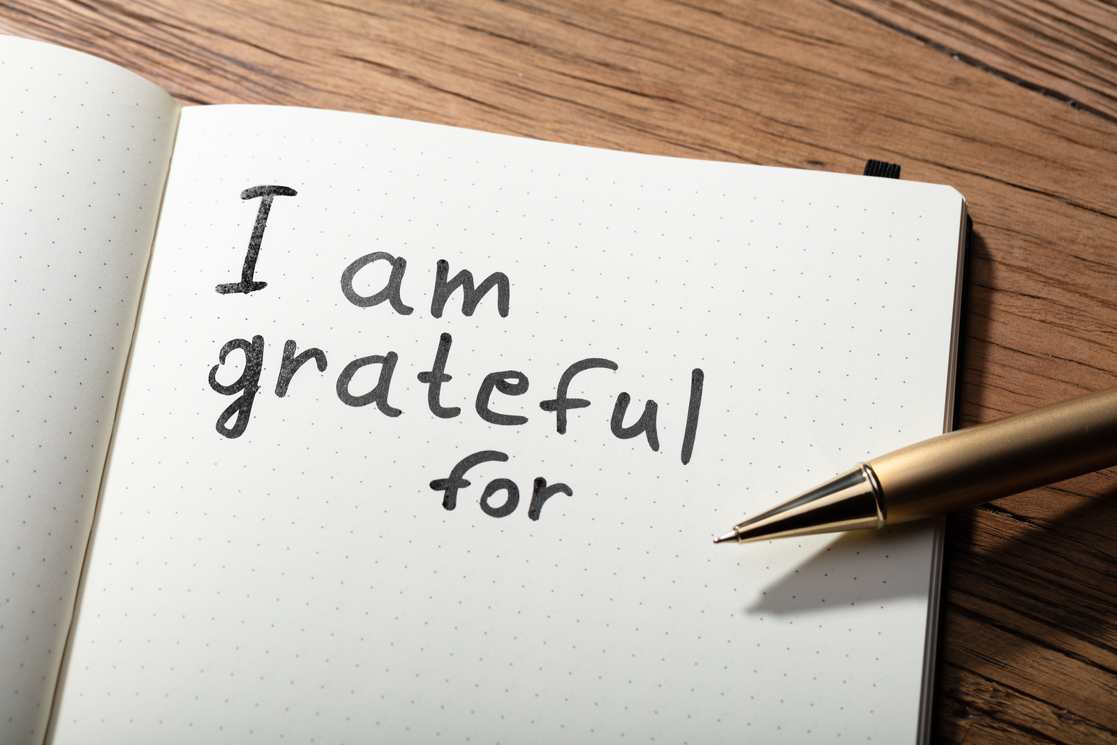Gratitude is the completion of thankfulness.